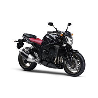 YAMAHA FZ1 2013-2013